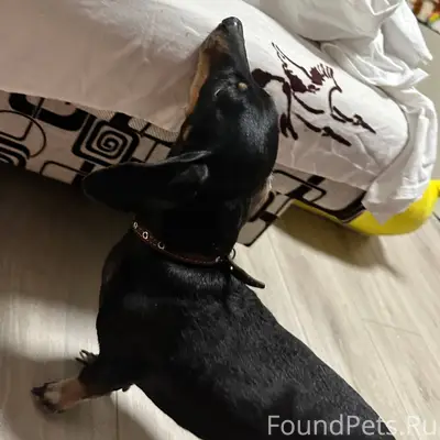 Сегодня в районе 19:00, найден...