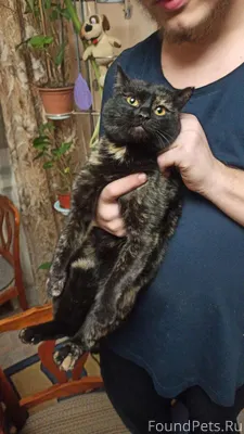 📍ул. Терешковой, Академгородок...