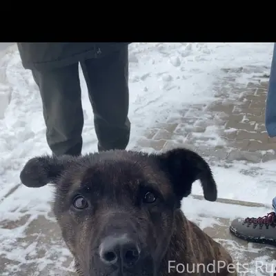 Добрый день по улице Новоборис...