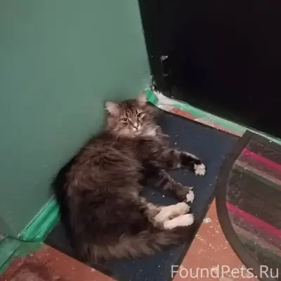 ВНИМАНИЕ!!@Максимальный Репост...