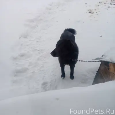 Здравствуйте, вчера в районе 1...