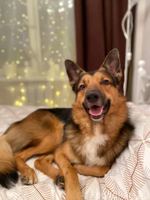 31.01.26г. Приблизительно в 21...