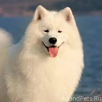 В районе обувной фабрики потер...