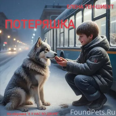 ПОТЕРЯШКА Елена Тен-Шибут А у....