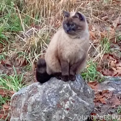 ⚡⚡⚡⚡⚡Район ул. Воркутинская!!!...