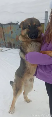 Уважаемые жители подгорной час...