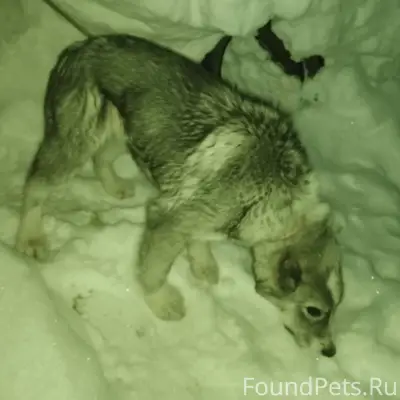 🆘🆘🆘❗❗❗ДРУЗЬЯ❗❗❗ Прошу максимал...