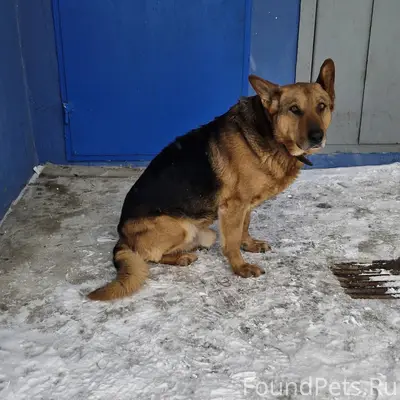 У 13 дома, на Кл Цеткин...