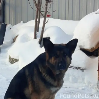 Здравствуйте! Забыли закрыть в...