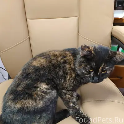 Друзья! Вчера на улице была на...