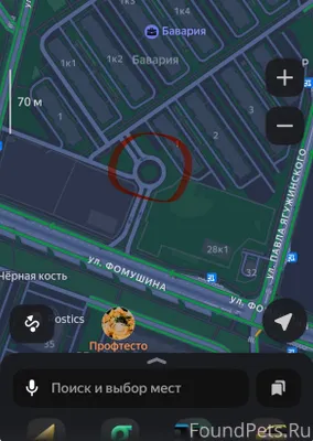 #Калуга Найден бенгальский кот...