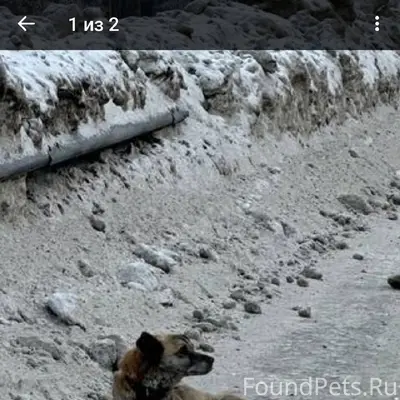 Сегодня на трассе Барнаул-Ново...