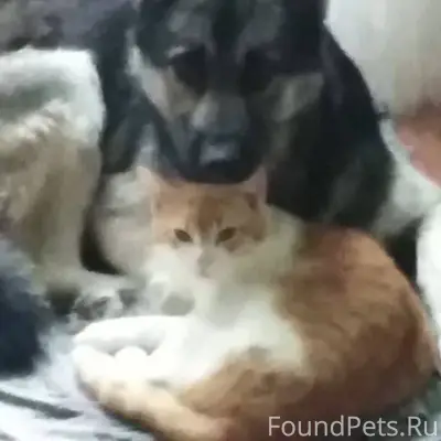 Прошу помощи! 31 декабря, прим...