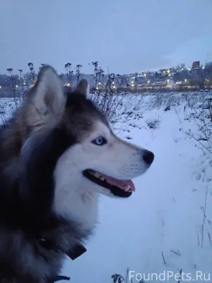 Я хочу сказать огромное спасиб...