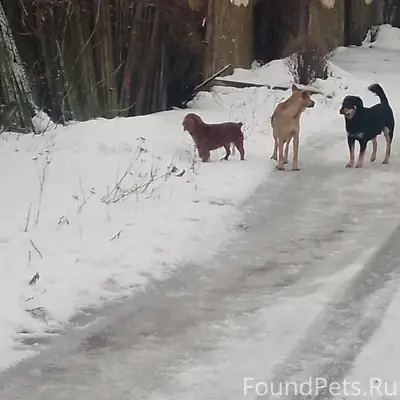 Доброго всем дня. Кто потерял ...