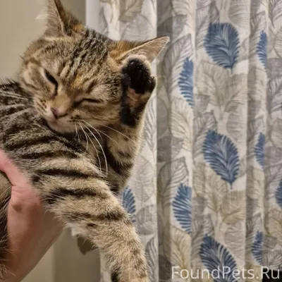 Сапожок ищет дом, где ждут чуд...