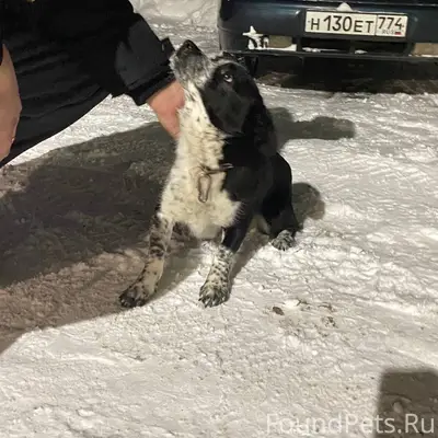 Всем привет! В Увельском, на у...