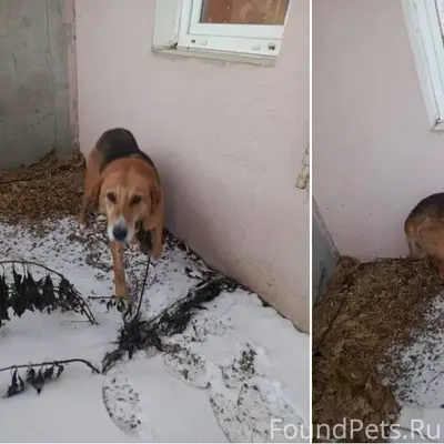 По Кирилловскому микрорайону г...