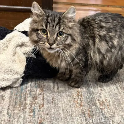 Всем добрый день! С Новым годо...