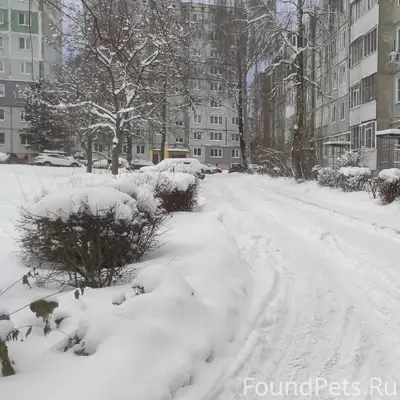 ❗❗ Просьба распространить инфо...