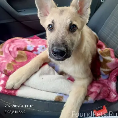 Вчера за 3КПП был найден домаш...