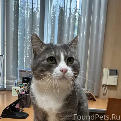 Том Этот красавчик был найден ...