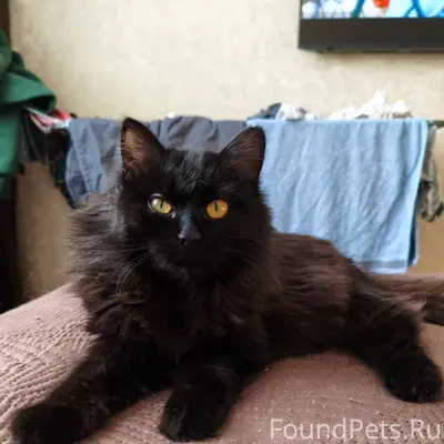 Всем добрый день!) 3 января на...