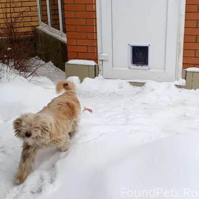 Московская область город Щёлко...