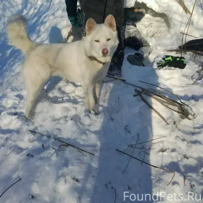 Добрый день. Всех неравнодушны...