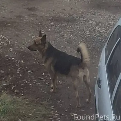 Уважаемые жители! Возможно кто...