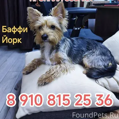 Продолжаем поиски, надеемся......