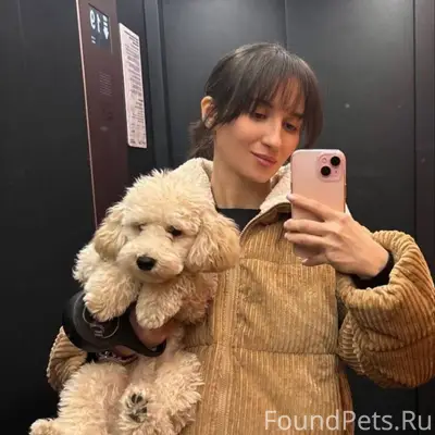 ## 🚨 ВНИМАНИЕ! ПОМОГИТЕ НАЙТИ ...