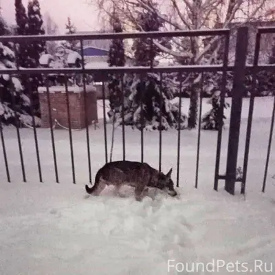 На территории ПТУ (колледж Мос...