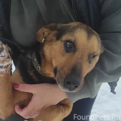 ДрузьЯ, сегодня поздно вечером...