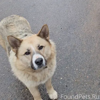 Подольск, Лемешово Добрый вече...