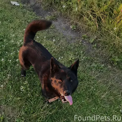 Пожалуйста, выложите поскорее🙏...