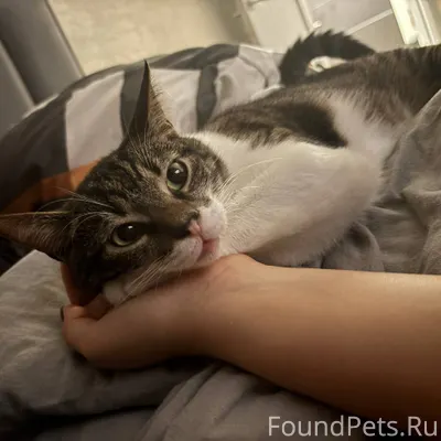 МИРНОЕ‼️‼️‼️ Здравствуйте) Про...