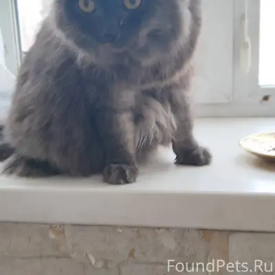 Чтоб жизнь нам не казалась сил...