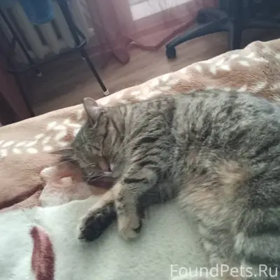 Туймазы, район ФНМ. Пропала ко...