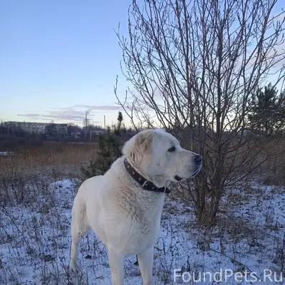 Сегодня вечером в районе Тайва...