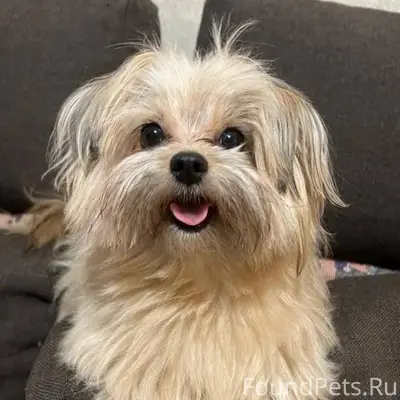 ПОИСК КНОПОЧКИ, ПОМОГИТЕ НАЙТИ...