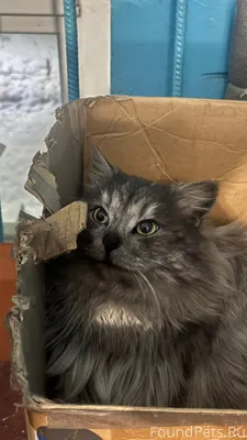 Улан-Удэ На улице Клыпина в...