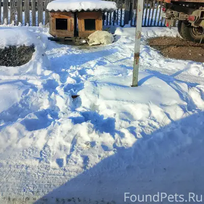 Пока кто-то наслаждается празд...