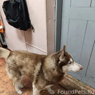 Три дня назад на ж/д...