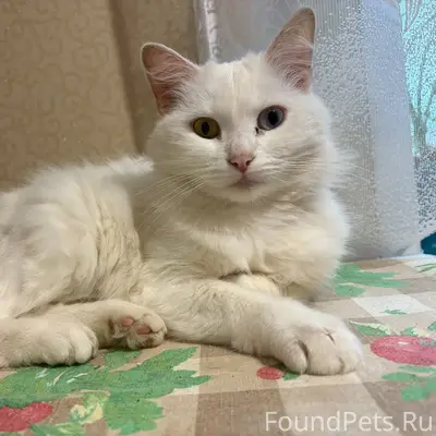 Добрый день! Ночью 4 января в....