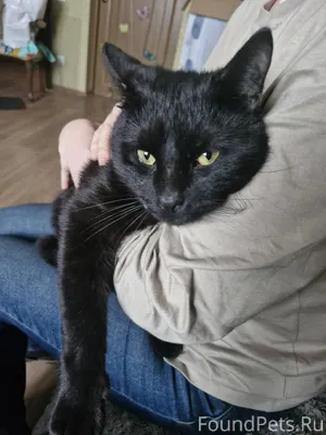 У дома номер 10 по ул...