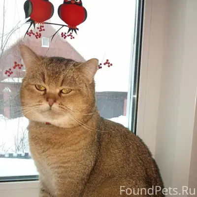 ‼️Внимание! Найден этот очень ...