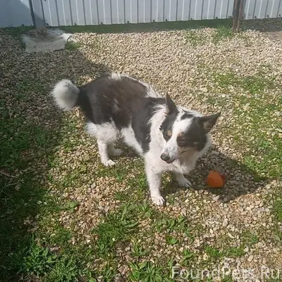 Орловская область Мценский рай...