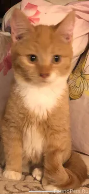 🆘🆘🆘🆘🆘 Тучково МО Вознаграждени...