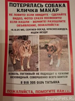 Андрей,привет!Очень нужна твоя...